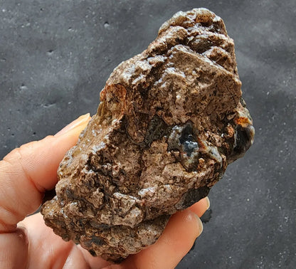 Uncut Thunder Egg - Banded Agate