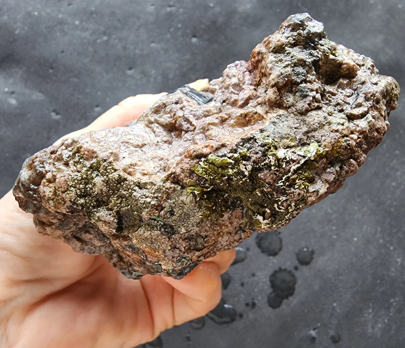 Uncut Thunder Egg - Banded Agate