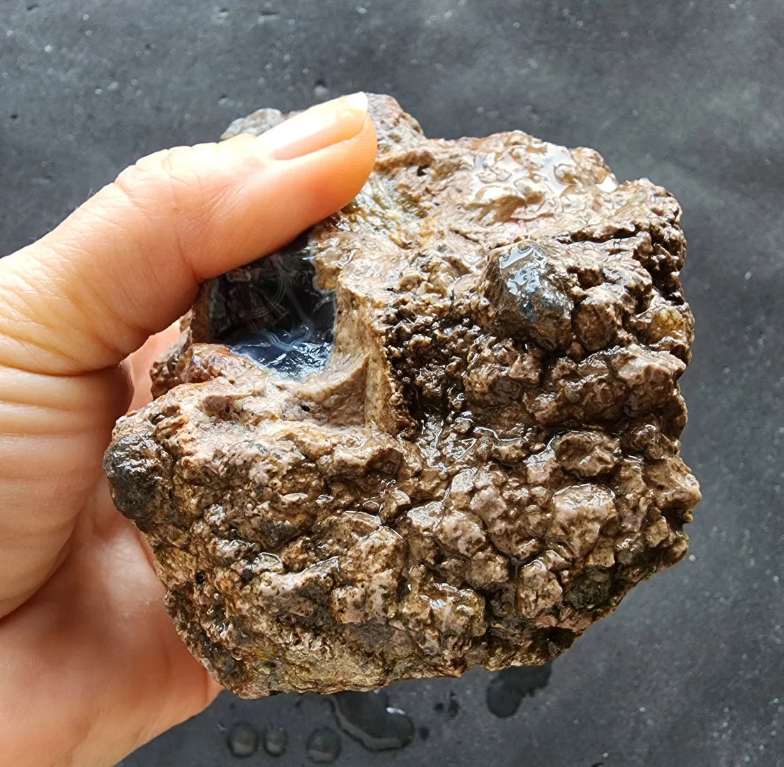 Uncut Thunder Egg - Banded Agate