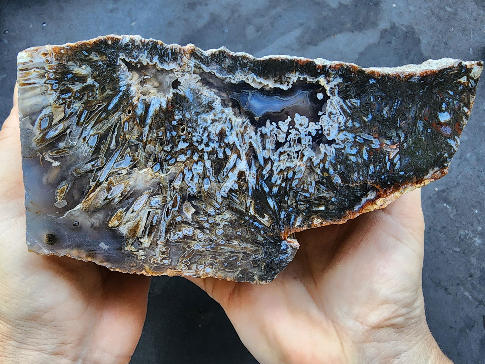 Bulk Agate Slabs - Big Agates - #tag1# - #tag2# - #tag3# - #tag4#