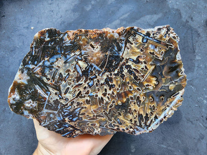 Bulk Agate Slabs - Big Agates - #tag1# - #tag2# - #tag3# - #tag4#