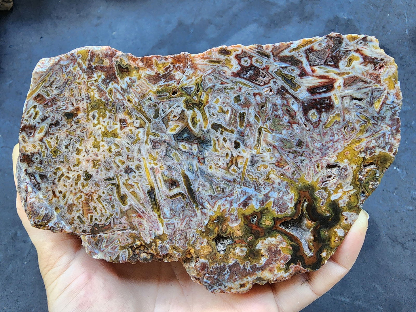 Bulk Agate Slabs - Big Agates - #tag1# - #tag2# - #tag3# - #tag4#