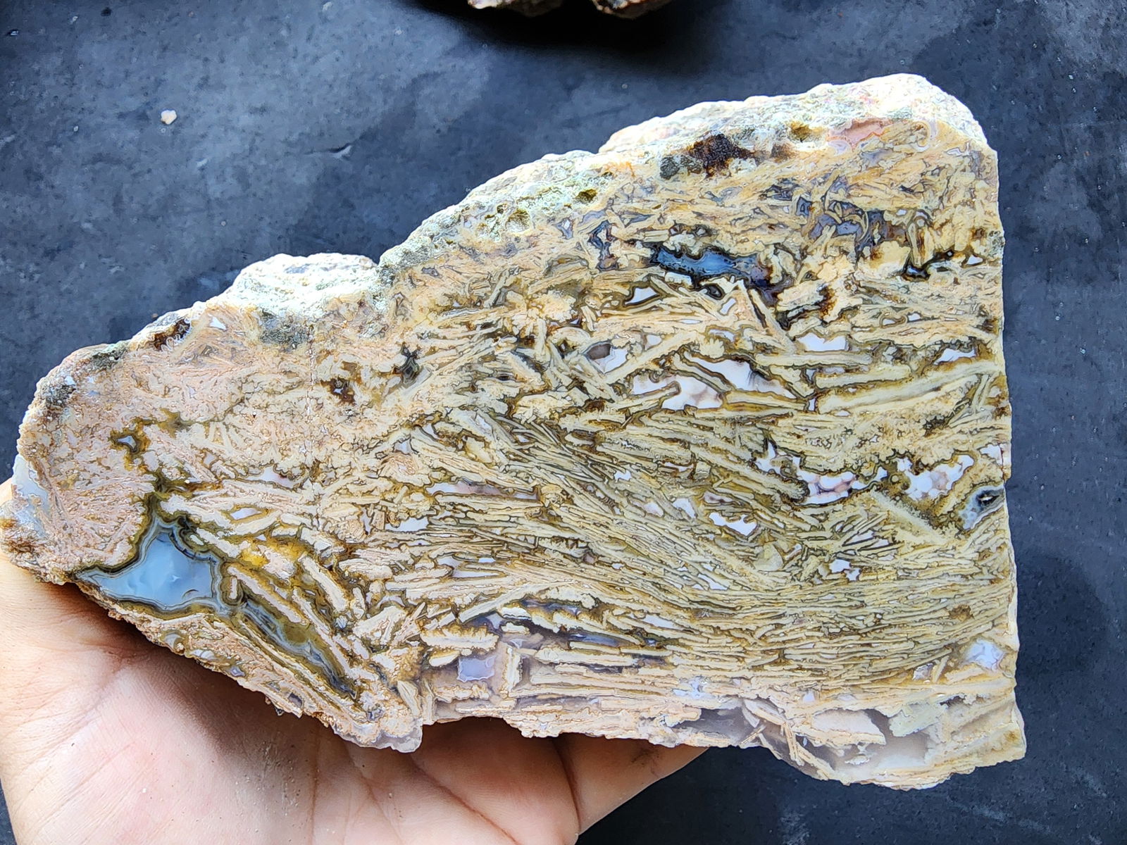 Bulk Agate Slabs - Big Agates - #tag1# - #tag2# - #tag3# - #tag4#