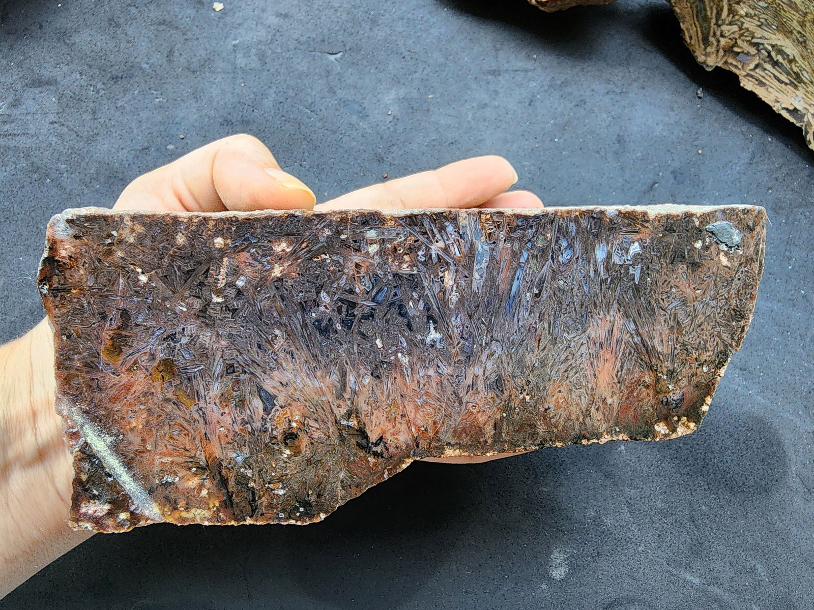 Bulk Agate Slabs - Big Agates - #tag1# - #tag2# - #tag3# - #tag4#
