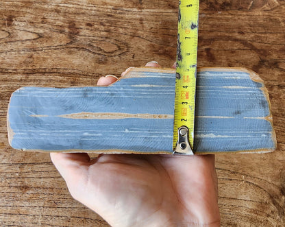 Decorative Jasper Pair - We❤️Rocks