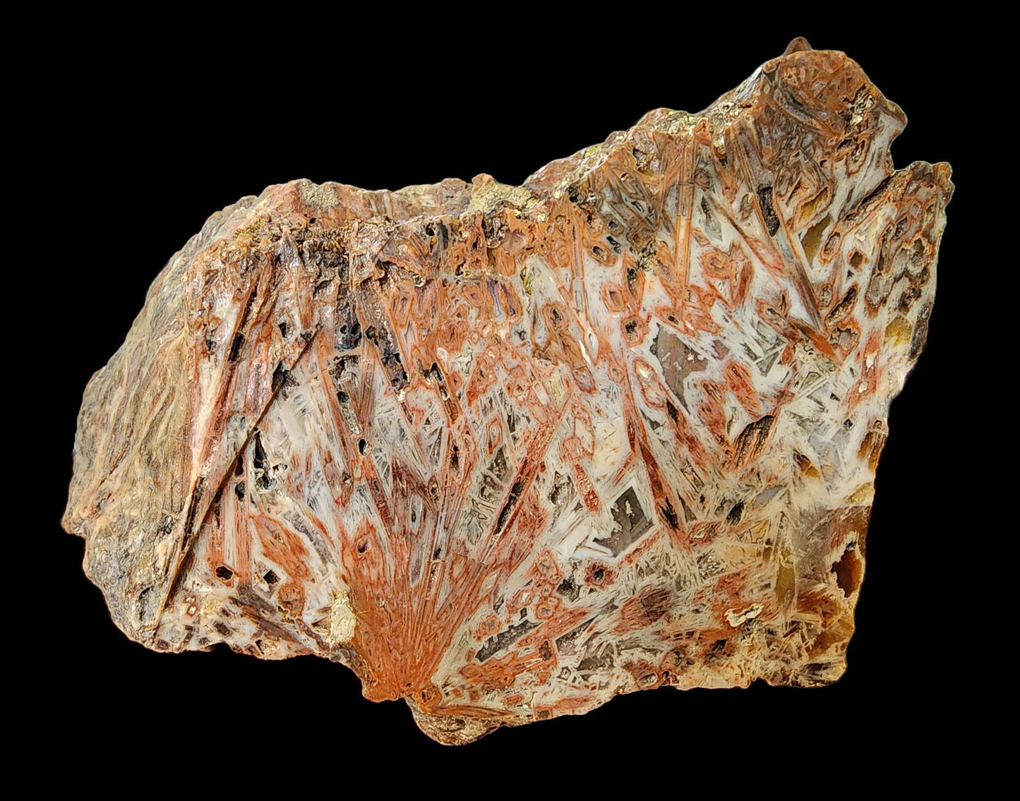 Decorative Large Agate - #tag1# - #tag2#