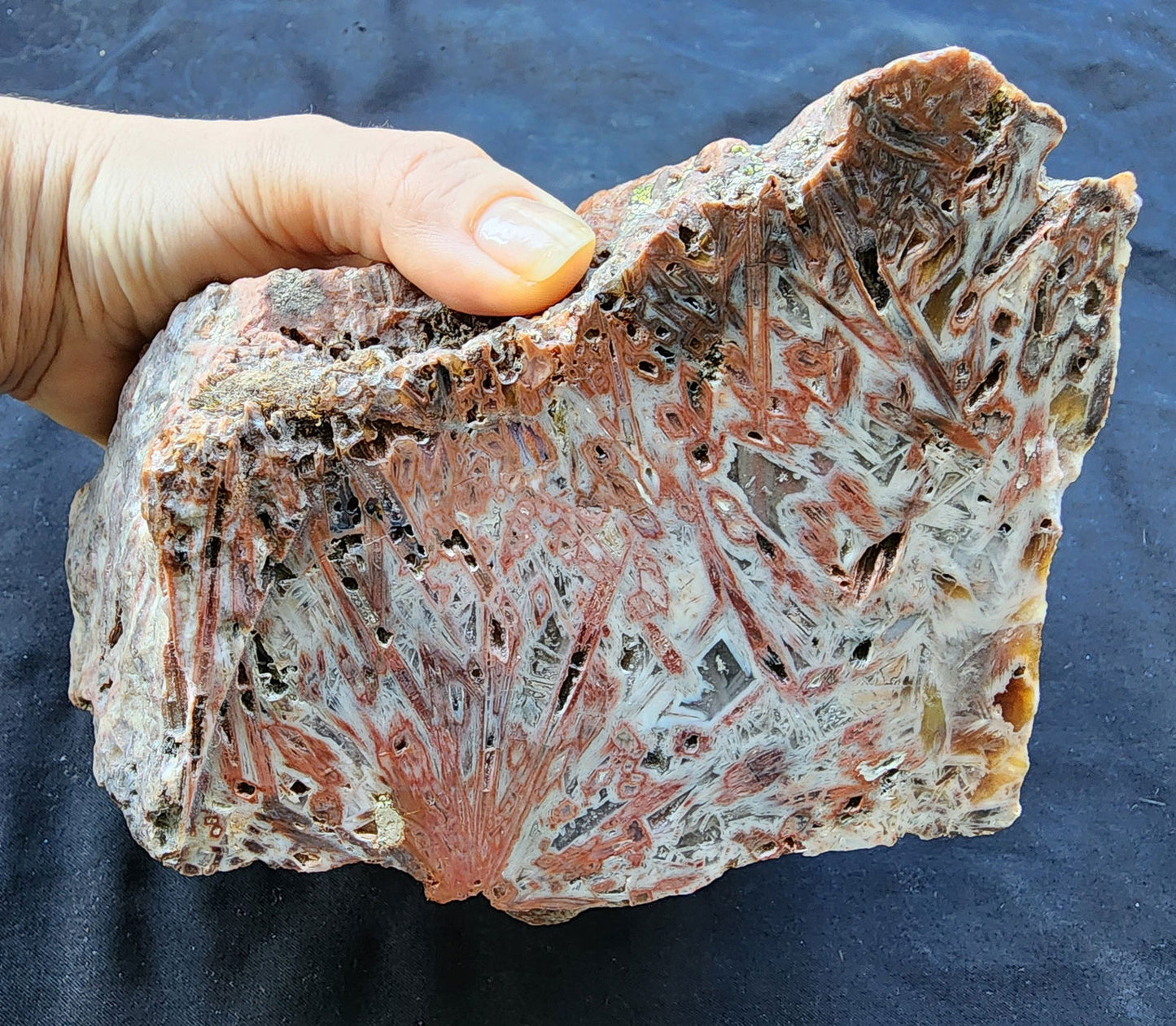 Decorative Large Agate - #tag1# - #tag2#