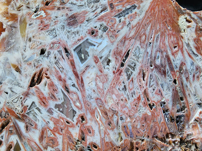 Decorative Large Agate - #tag1# - #tag2#