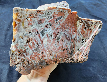 Decorative Large Agate - #tag1# - #tag2#