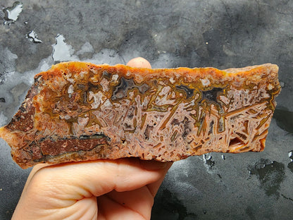 Decorative Rock - We❤️Rocks