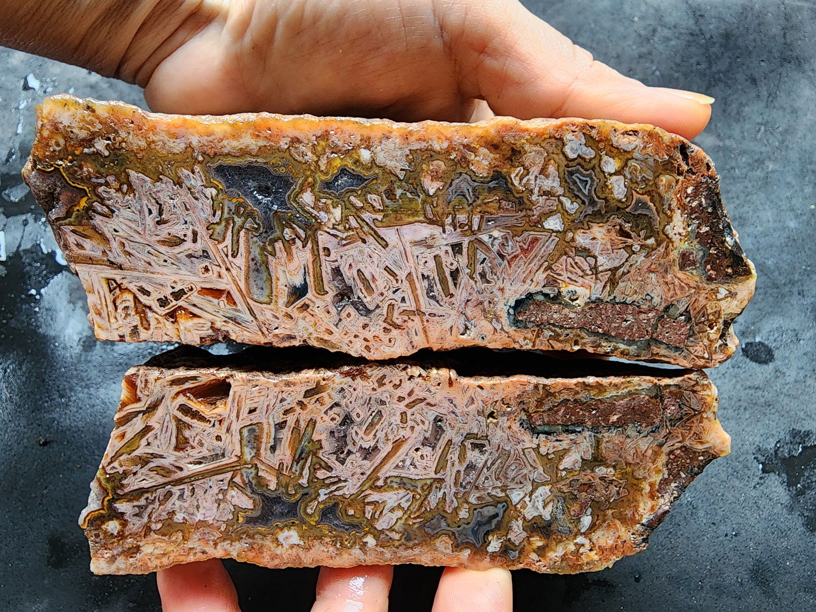 Decorative Rock - We❤️Rocks