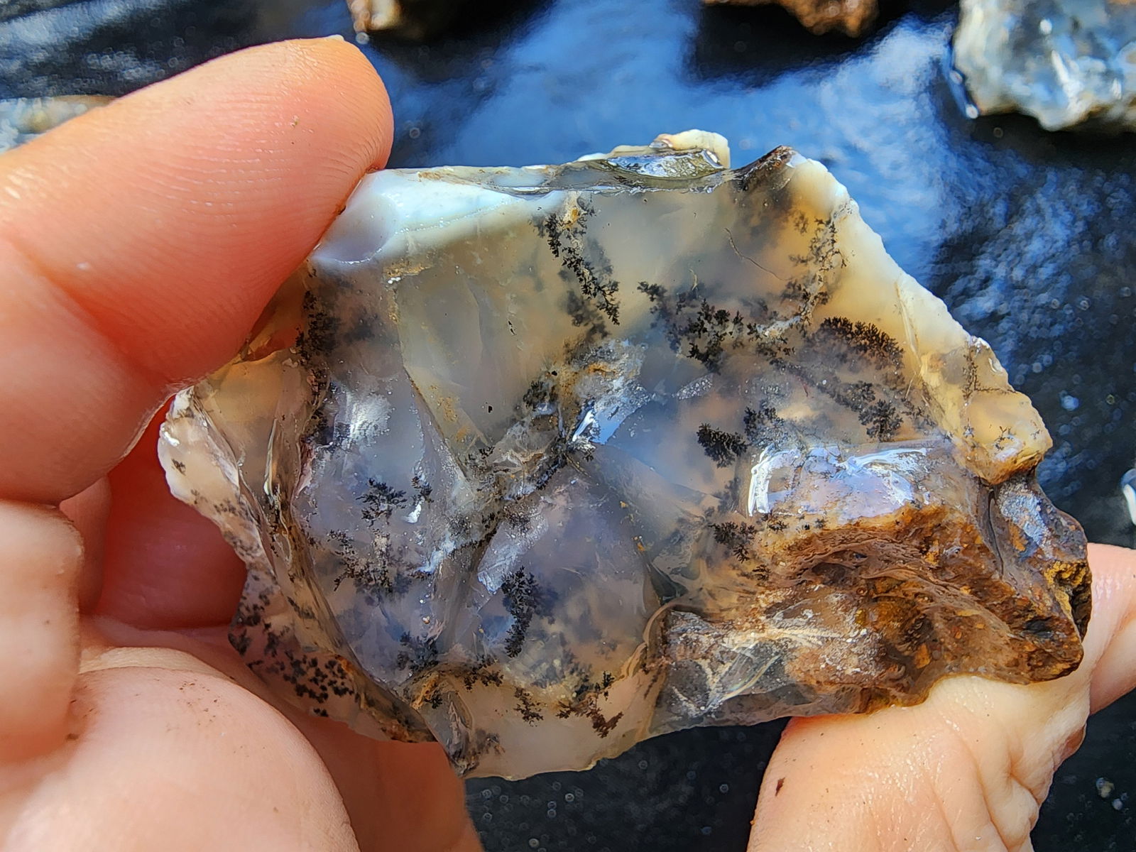 Dendritic Agate Nodules 5.5 lbs - We❤️Rocks