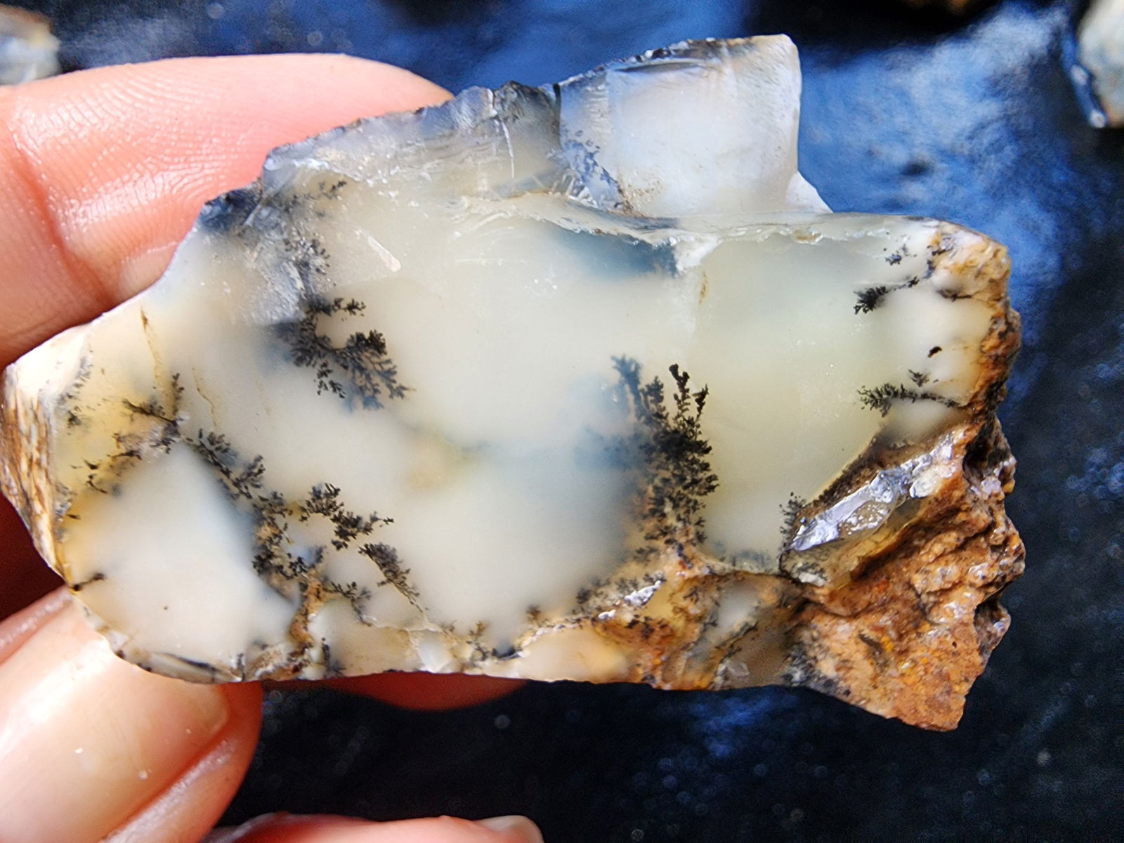 Dendritic Agate Nodules 5.5 lbs - We❤️Rocks