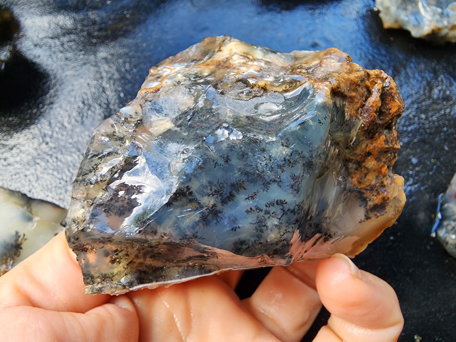 Dendritic Agate Nodules 5.5 lbs - We❤️Rocks