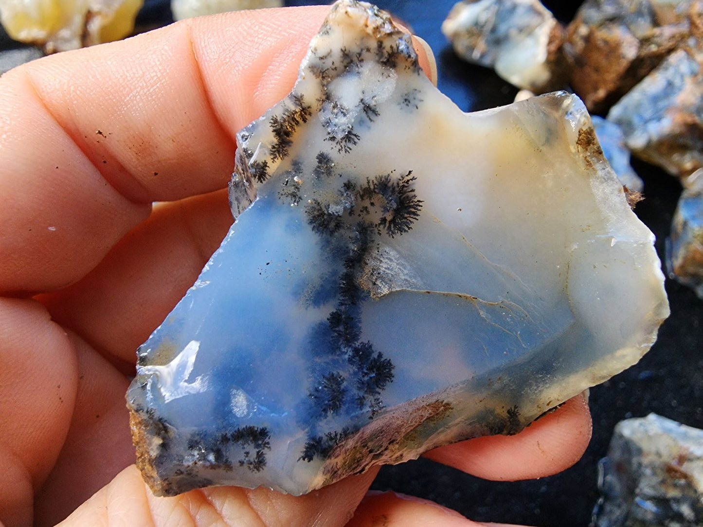Dendritic Agate Nodules 5.5 lbs - We❤️Rocks
