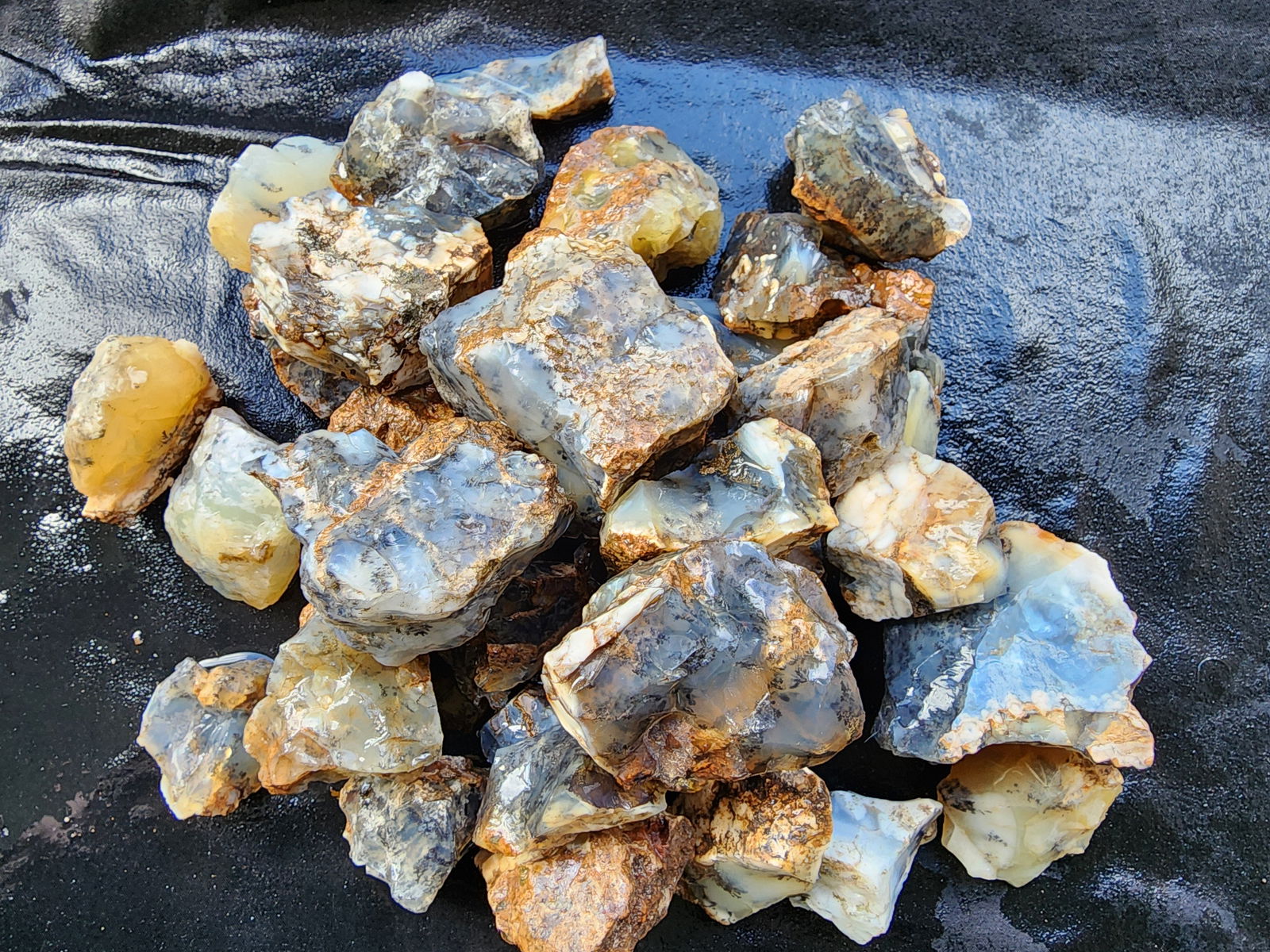 Dendritic Agate Nodules 5.5 lbs - We❤️Rocks