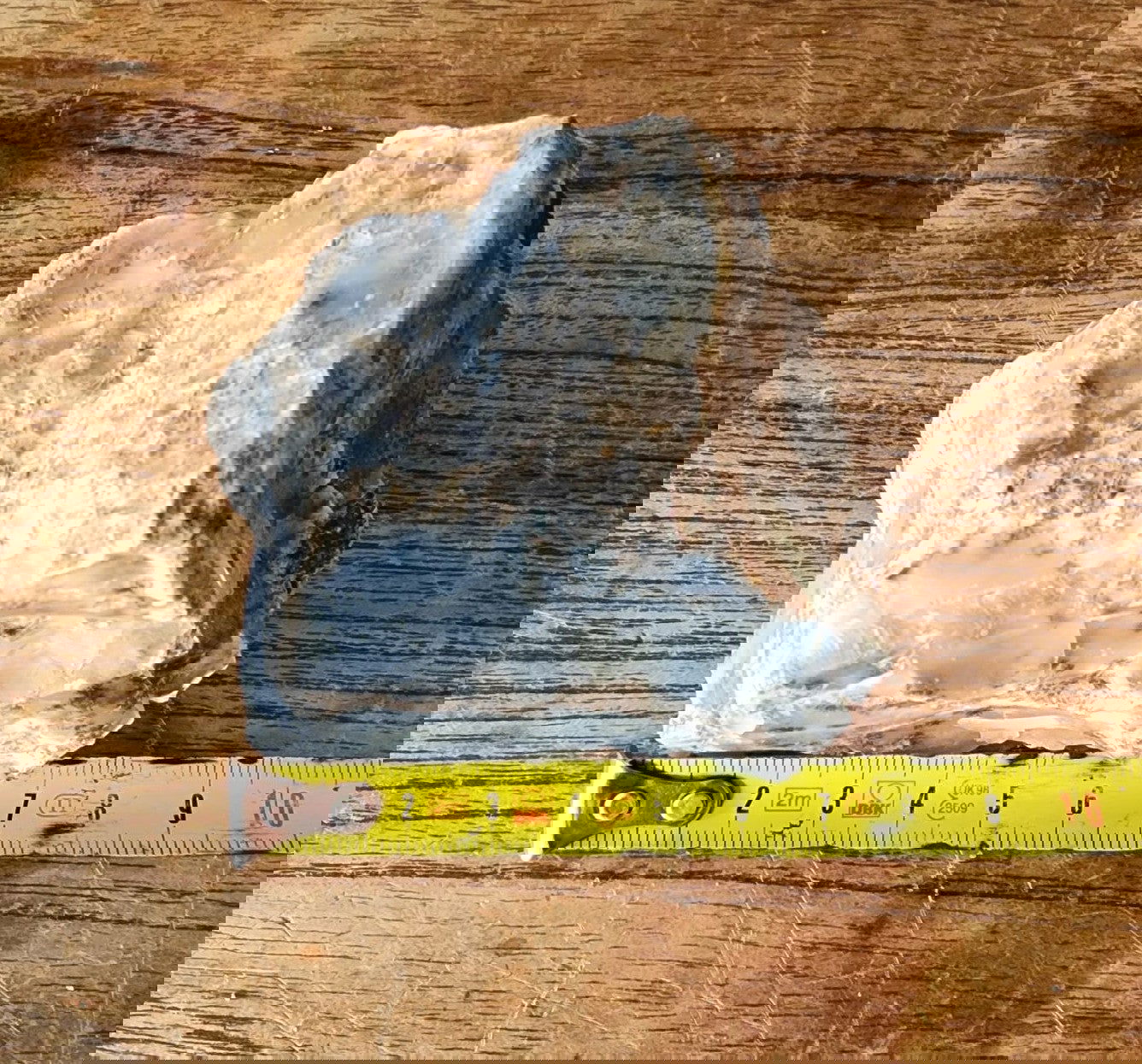 Dendritic Agate Nodules 5.5 lbs - We❤️Rocks