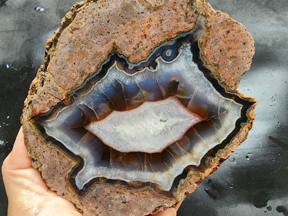 Fluorescent Thunder Egg - We❤️Rocks