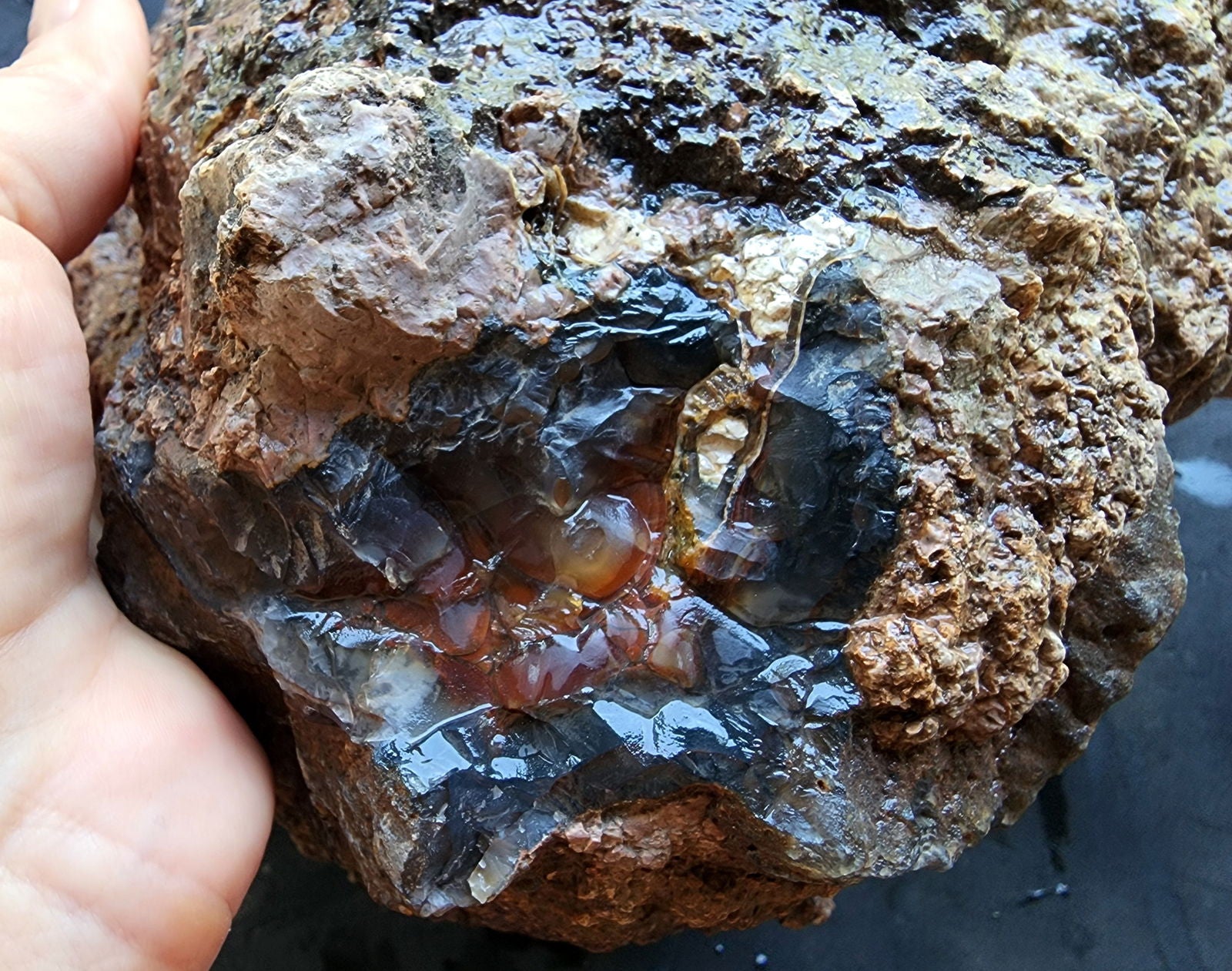 Huge Botryoidal Thunder Egg - Geode - We❤️Rocks