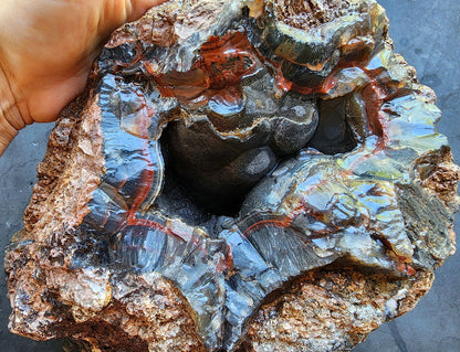 Huge Botryoidal Thunder Egg - Geode - We❤️Rocks
