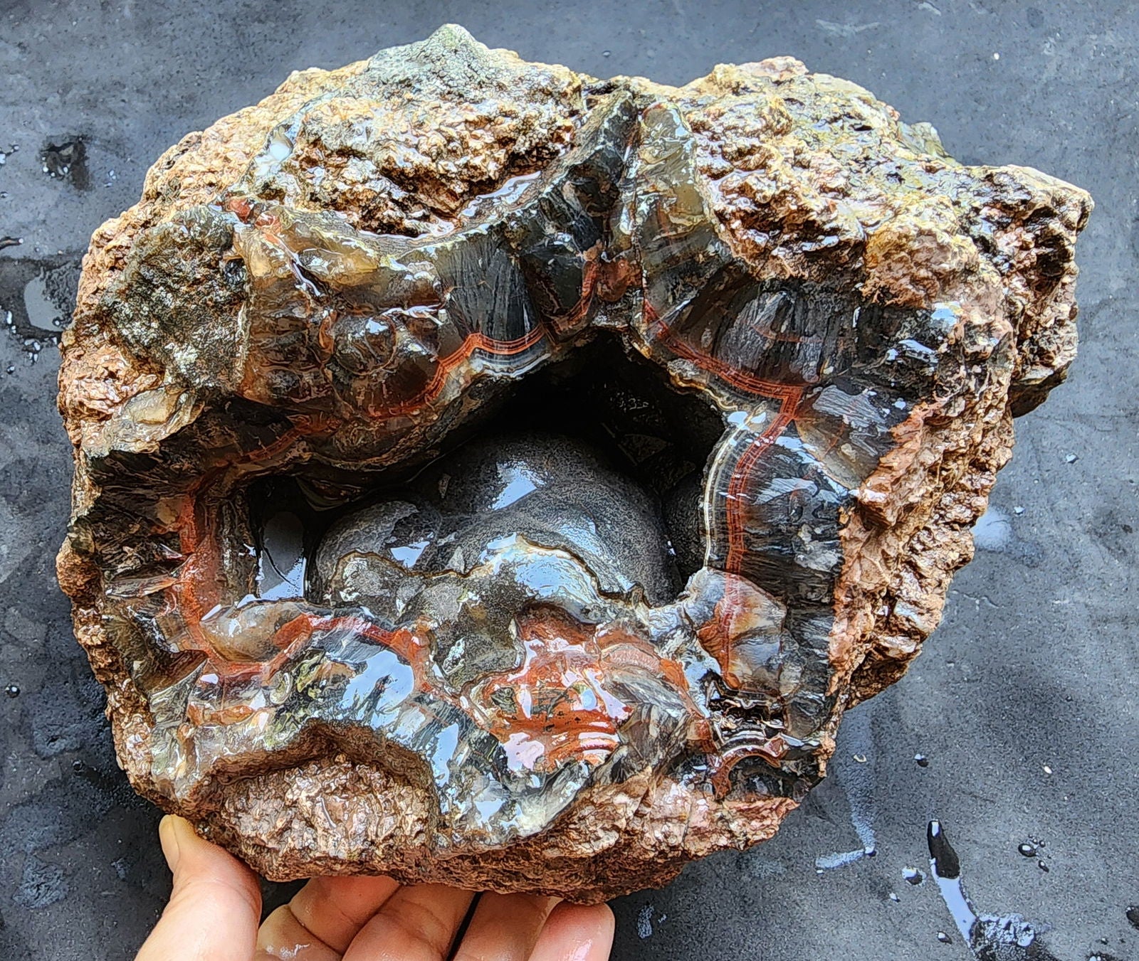Huge Botryoidal Thunder Egg - Geode - We❤️Rocks