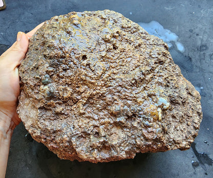 Huge Botryoidal Thunder Egg - Geode - We❤️Rocks