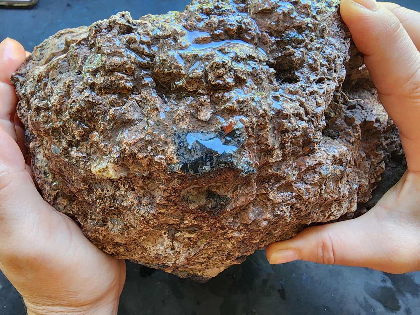 Huge Botryoidal Thunder Egg - Geode - We❤️Rocks