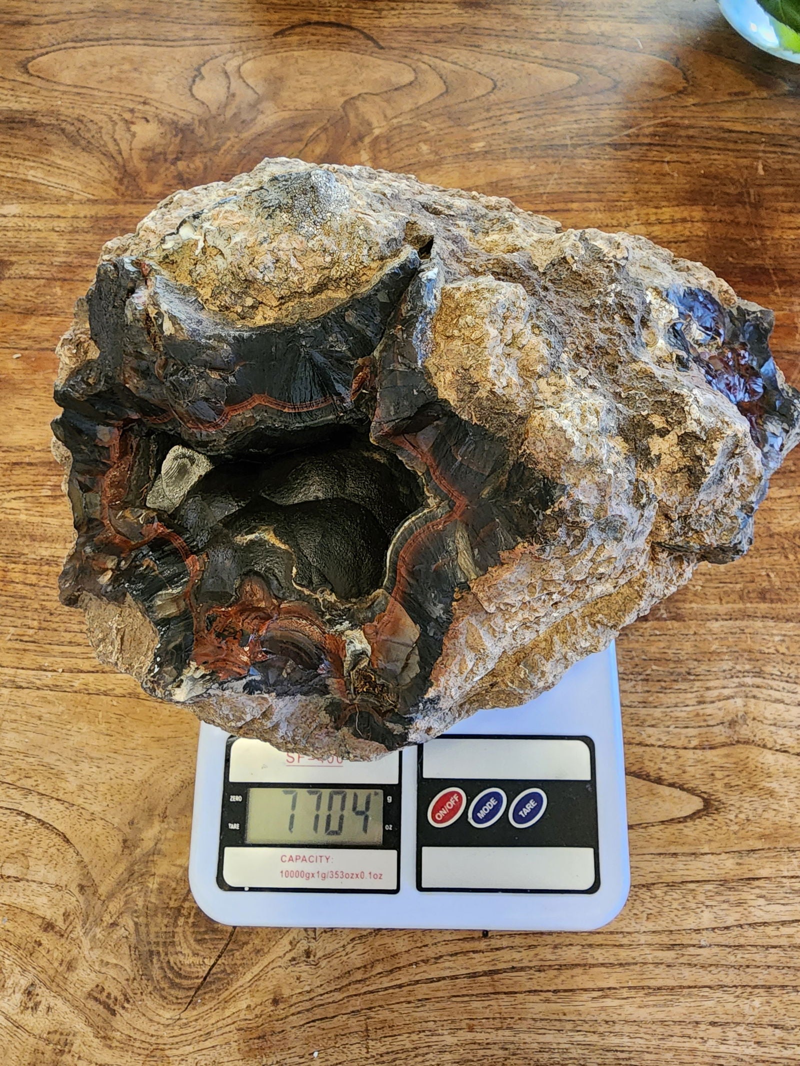 Huge Botryoidal Thunder Egg - Geode - We❤️Rocks