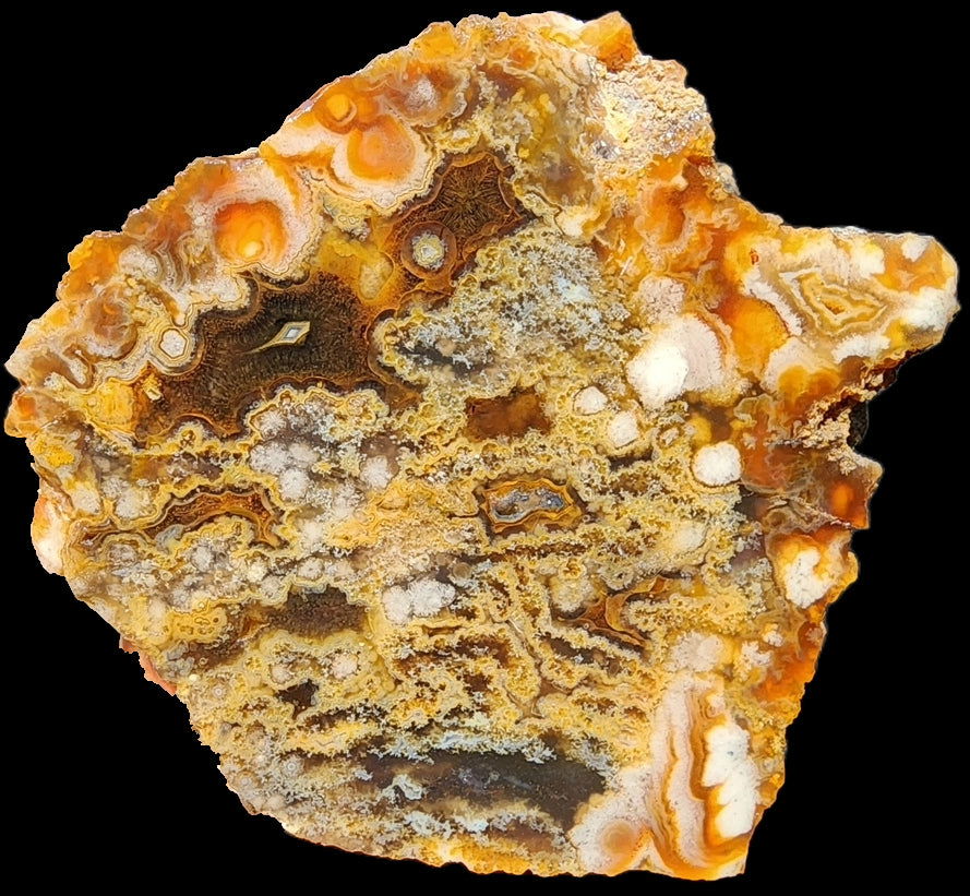 Plume Agate Pair - #tag1# - #tag2#