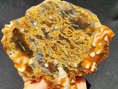 Plume Agate Pair - We❤️Rocks