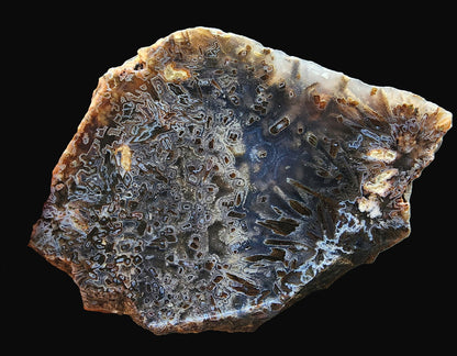 Raw Agate for Lapidary - We❤️Rocks