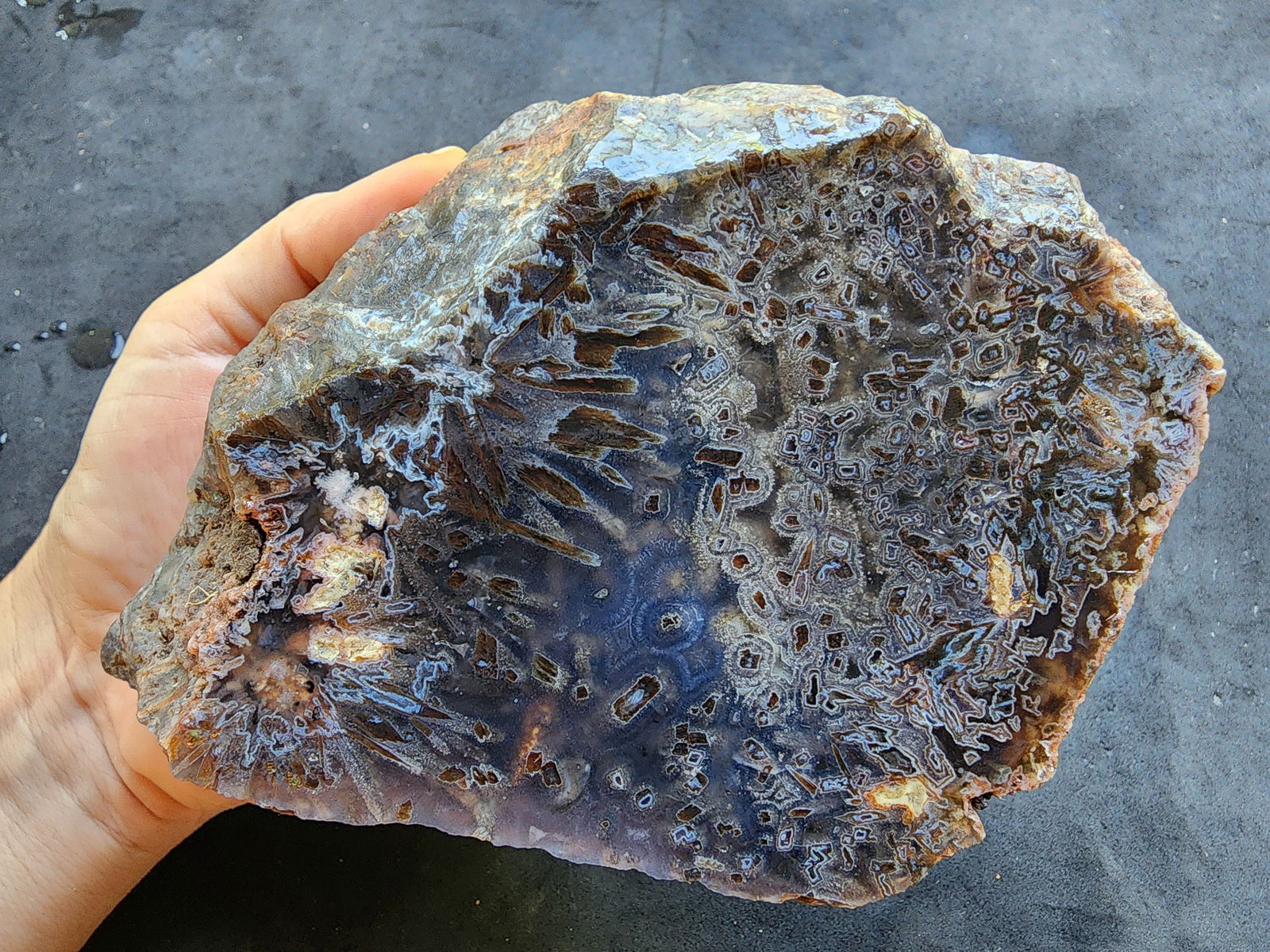 Raw Agate for Lapidary - We❤️Rocks