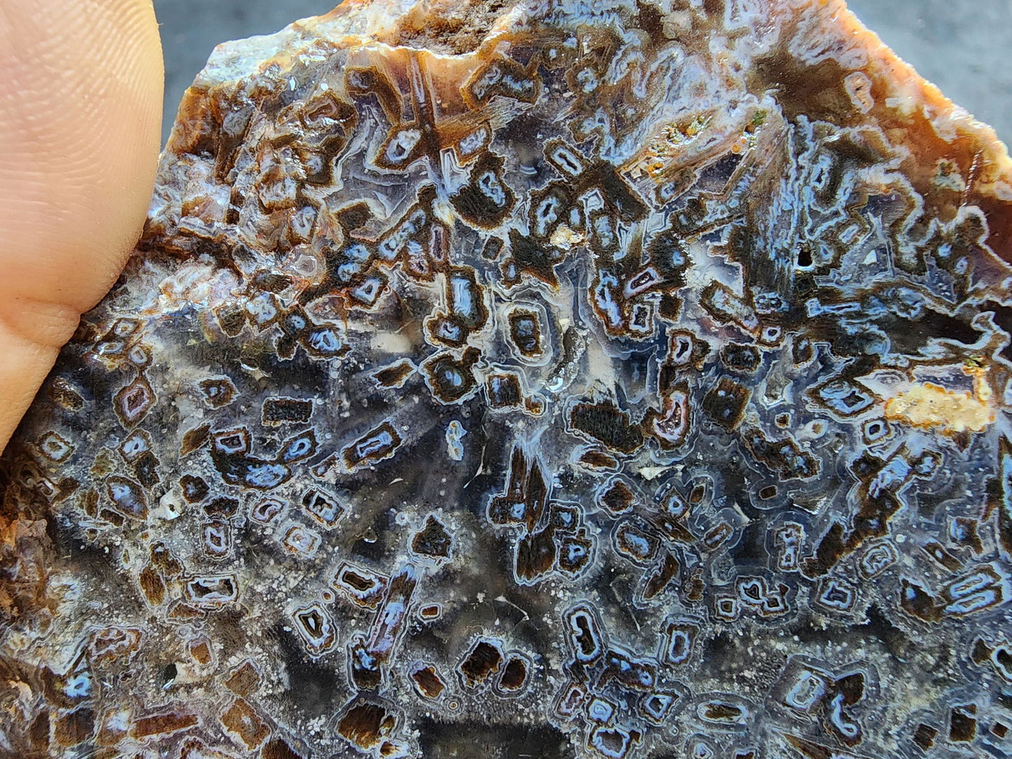 Raw Agate for Lapidary - We❤️Rocks