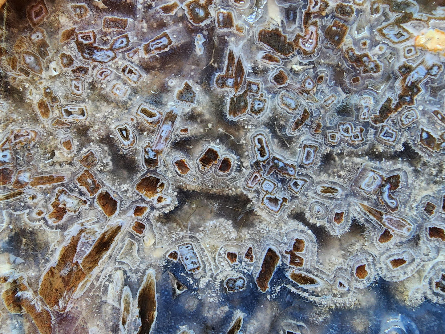 Raw Agate for Lapidary - We❤️Rocks