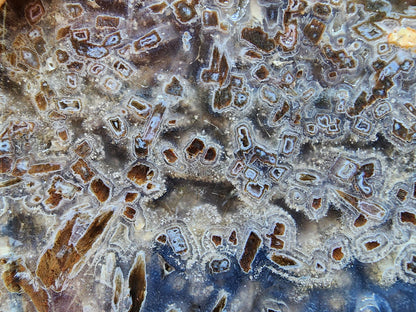 Raw Agate for Lapidary - We❤️Rocks