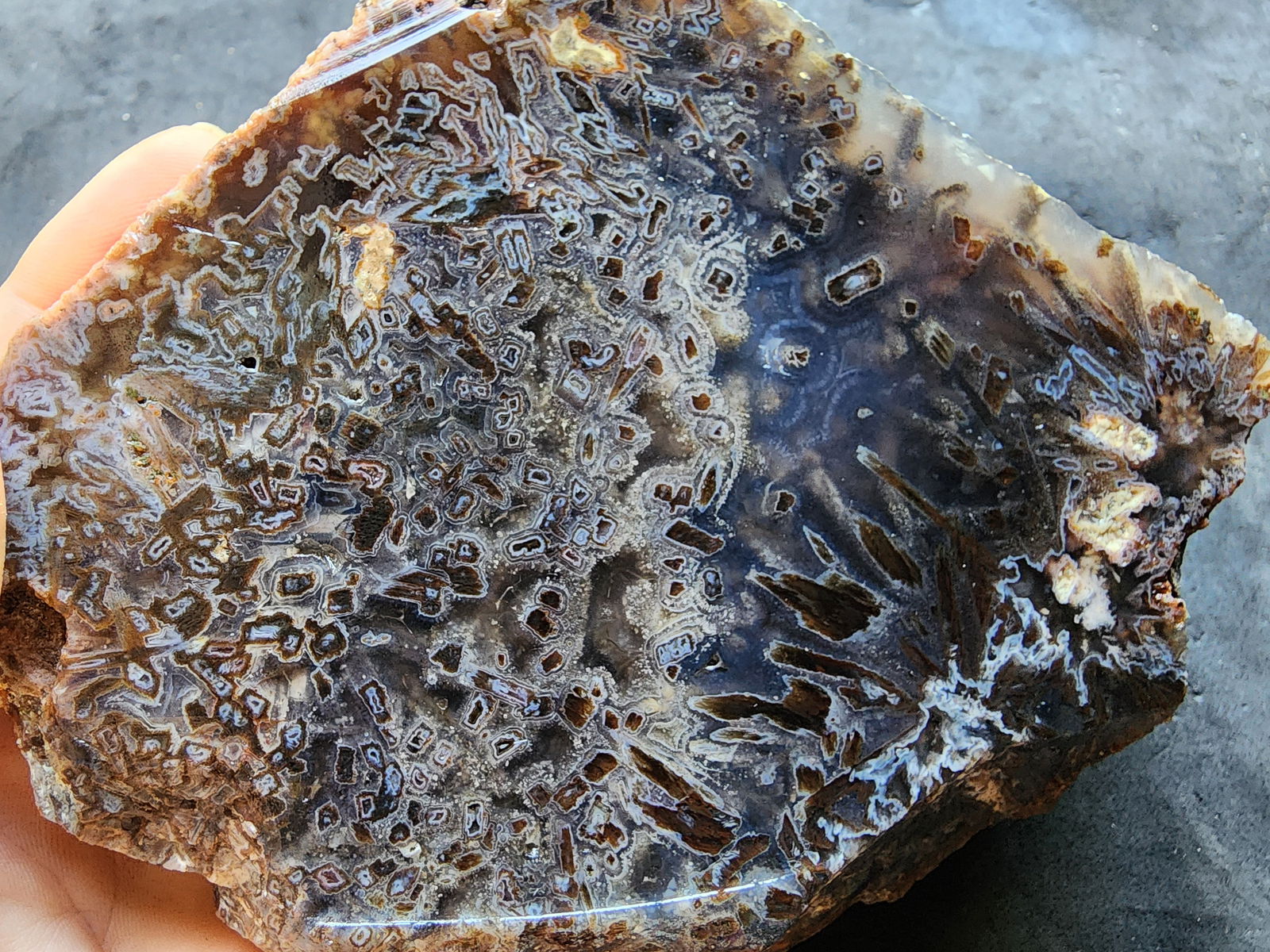 Raw Agate for Lapidary - We❤️Rocks