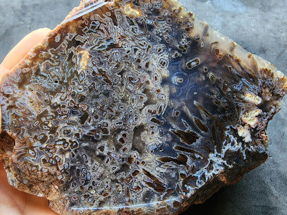 Raw Agate for Lapidary - We❤️Rocks