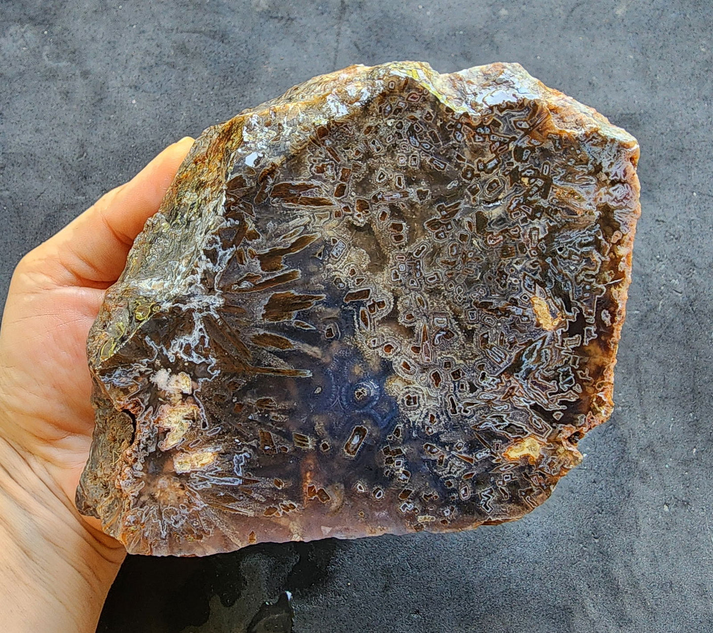 Raw Agate for Lapidary - We❤️Rocks