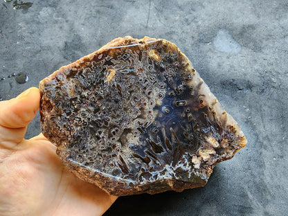 Raw Agate for Lapidary - We❤️Rocks