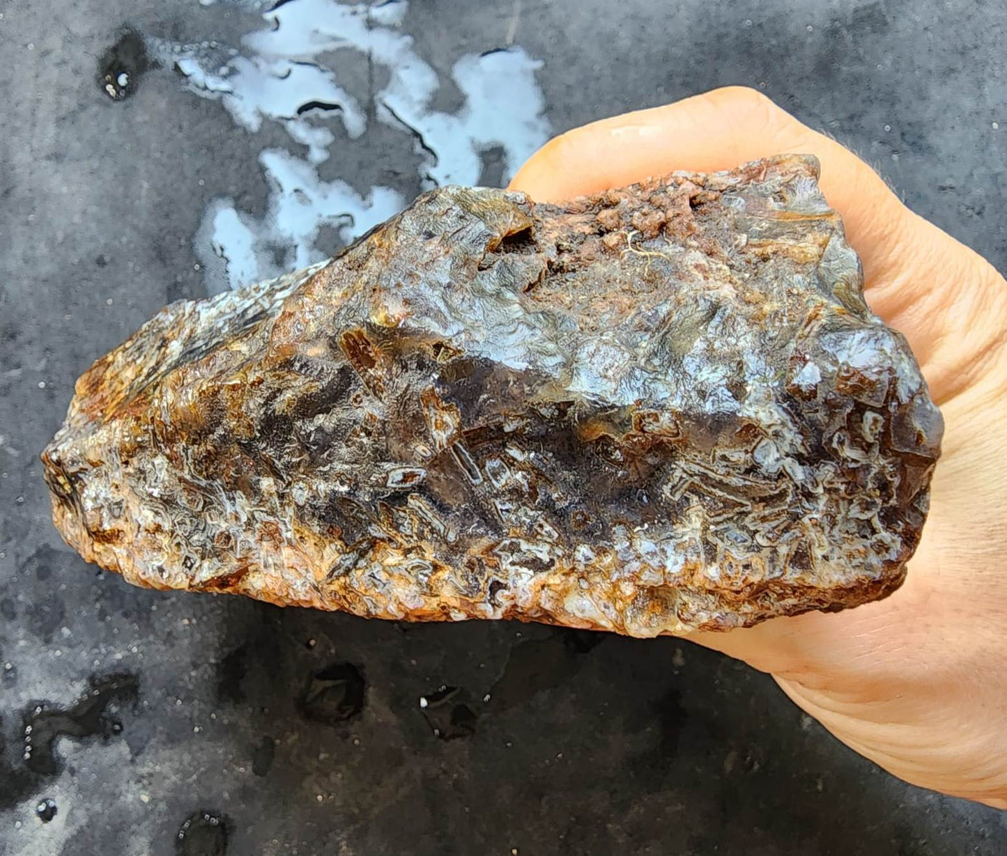 Raw Agate for Lapidary - We❤️Rocks