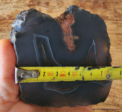 Thunder Egg Agate - We❤️Rocks