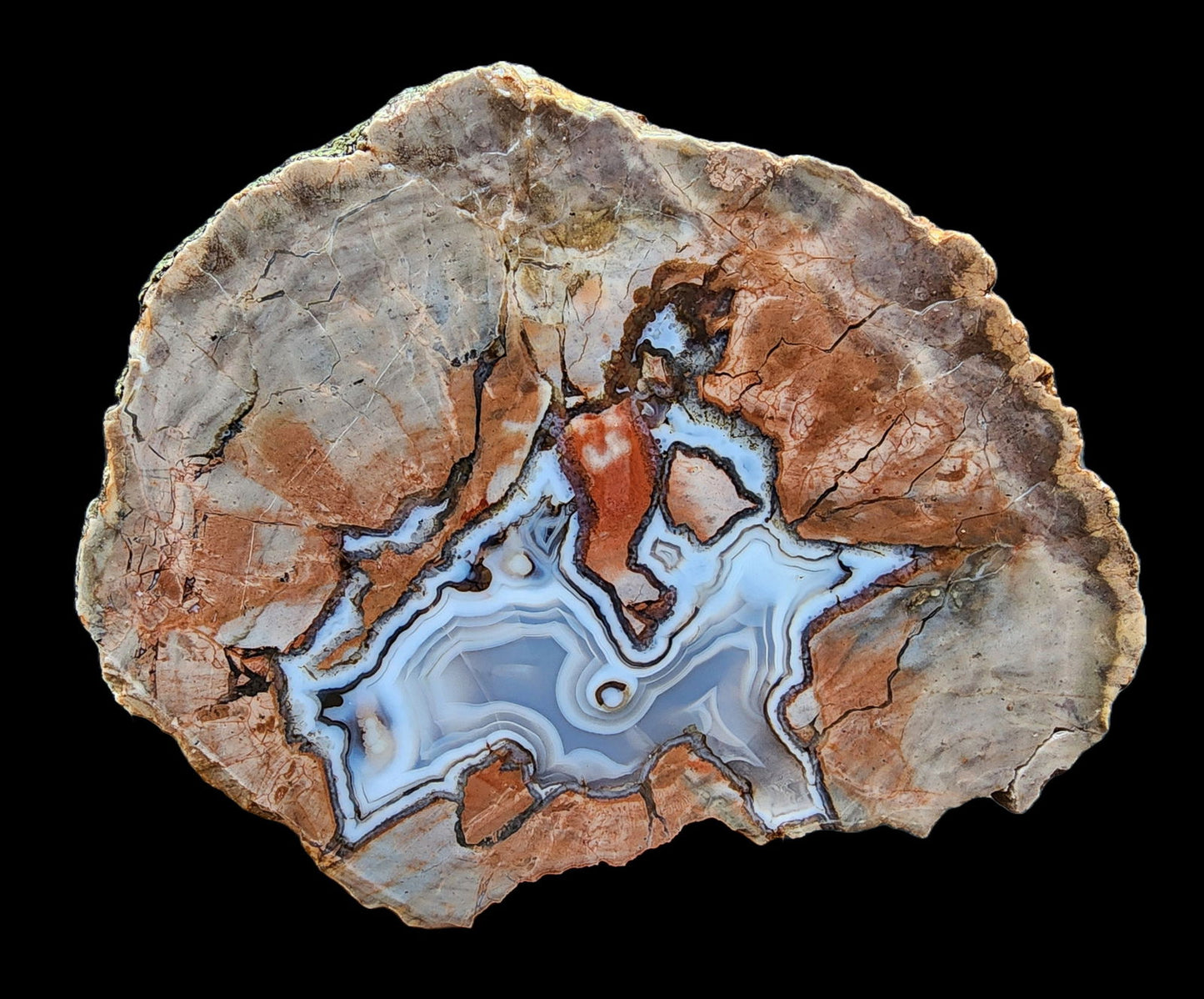 Thunderegg - Decorative Rock - We❤️Rocks