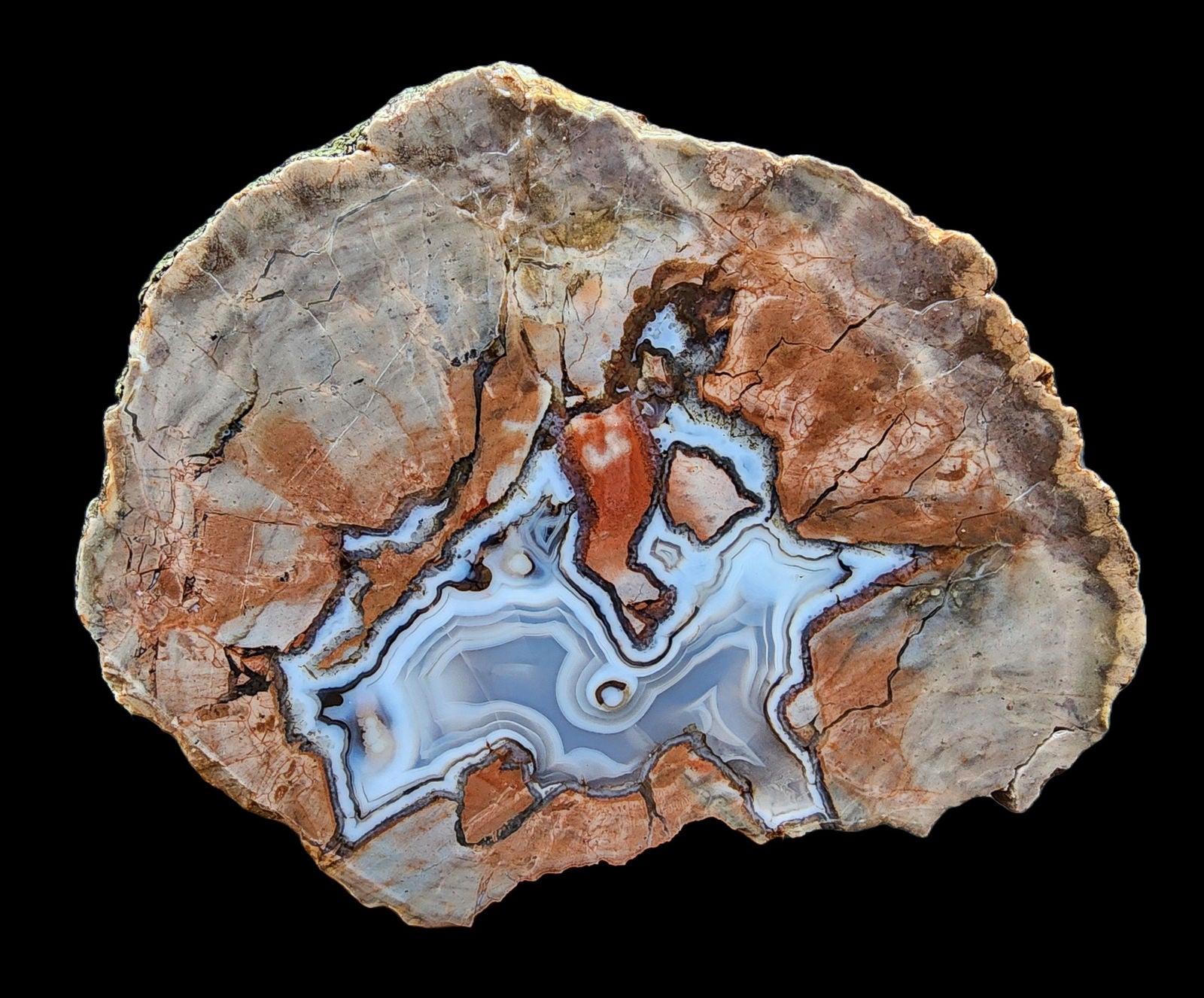 Thunderegg - Decorative Rock - We❤️Rocks