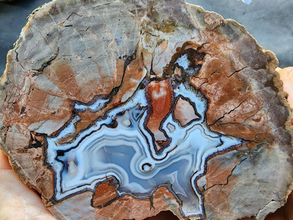 Thunderegg - Decorative Rock - We❤️Rocks
