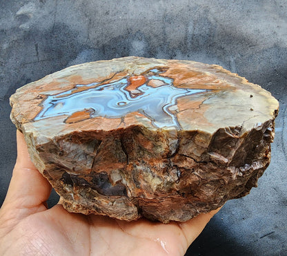 Thunderegg - Decorative Rock - We❤️Rocks