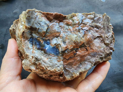 Thunderegg - Decorative Rock - We❤️Rocks