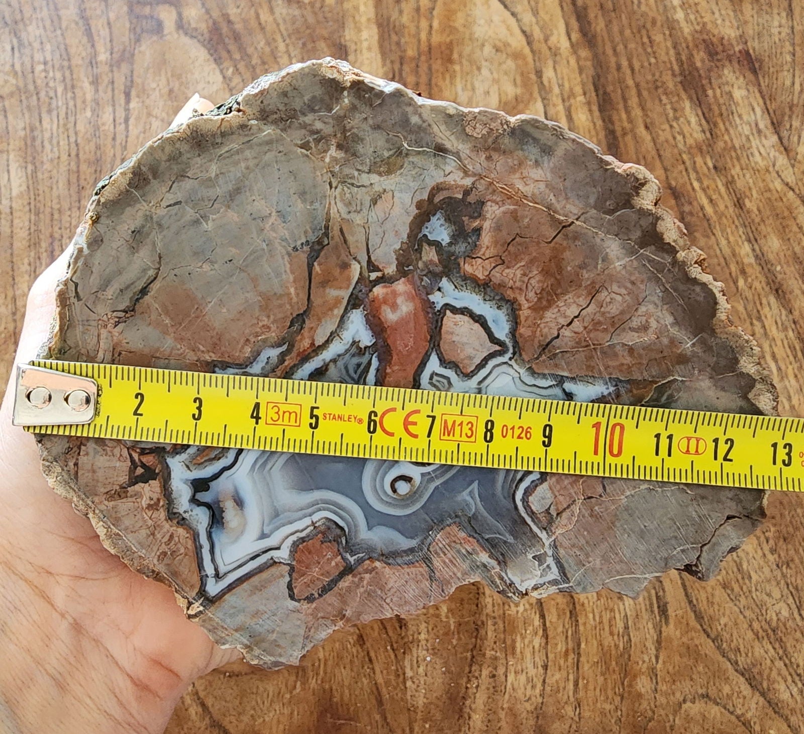 Thunderegg - Decorative Rock - We❤️Rocks