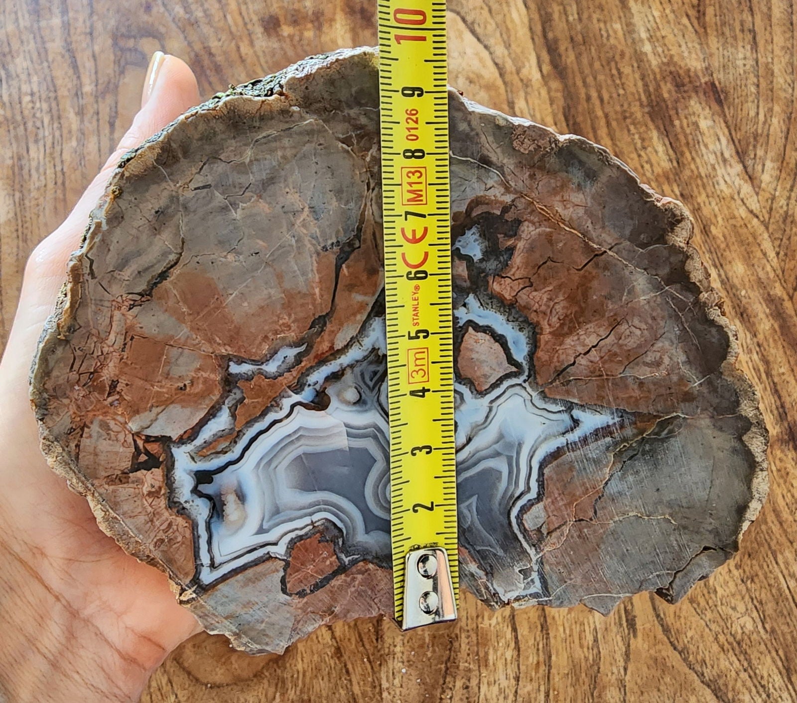 Thunderegg - Decorative Rock - We❤️Rocks