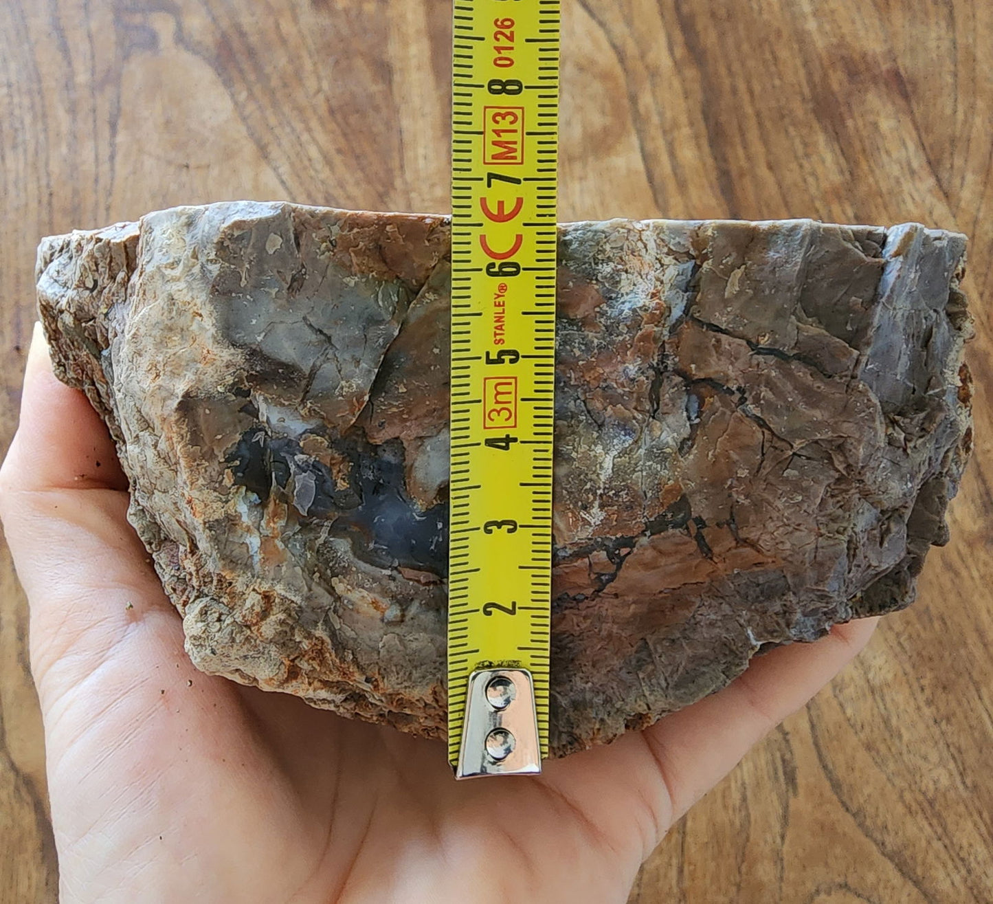 Thunderegg - Decorative Rock - We❤️Rocks