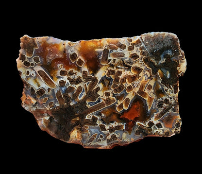 Tube Agate Pair